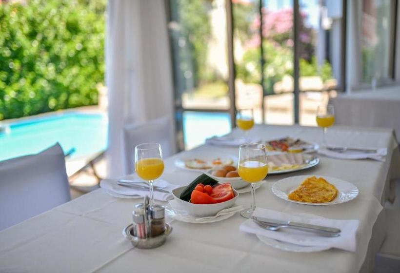 בית מלון כפרי Levant