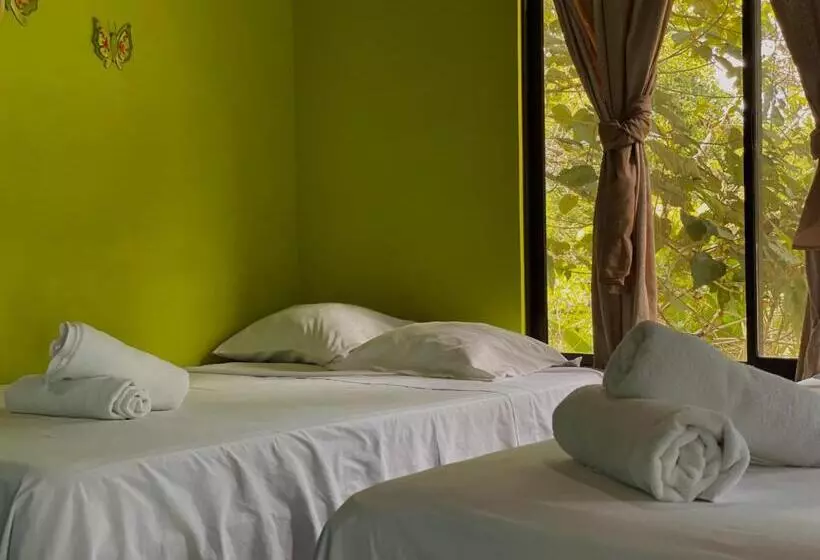 Los Amigos Jungle Hotel Tortuguero