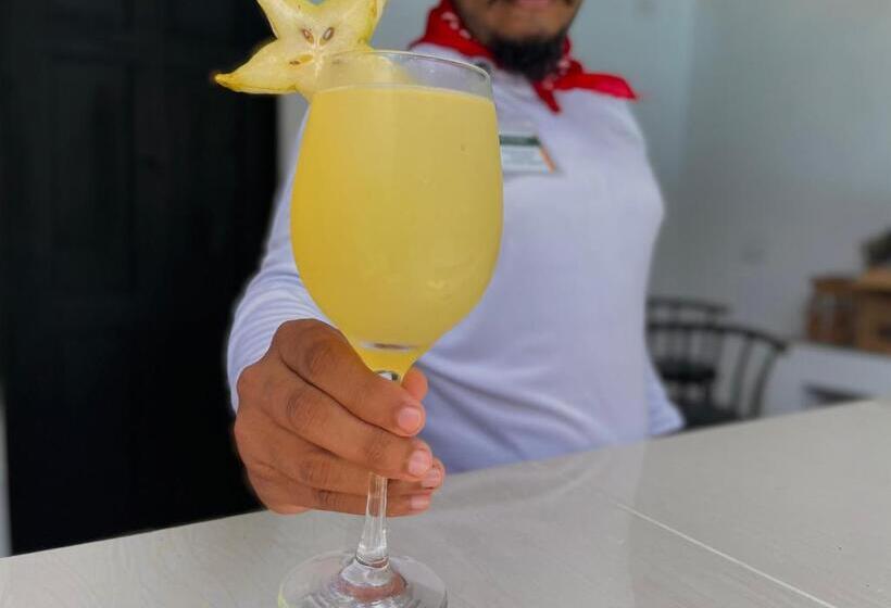 Los Amigos Jungle Hotel Tortuguero