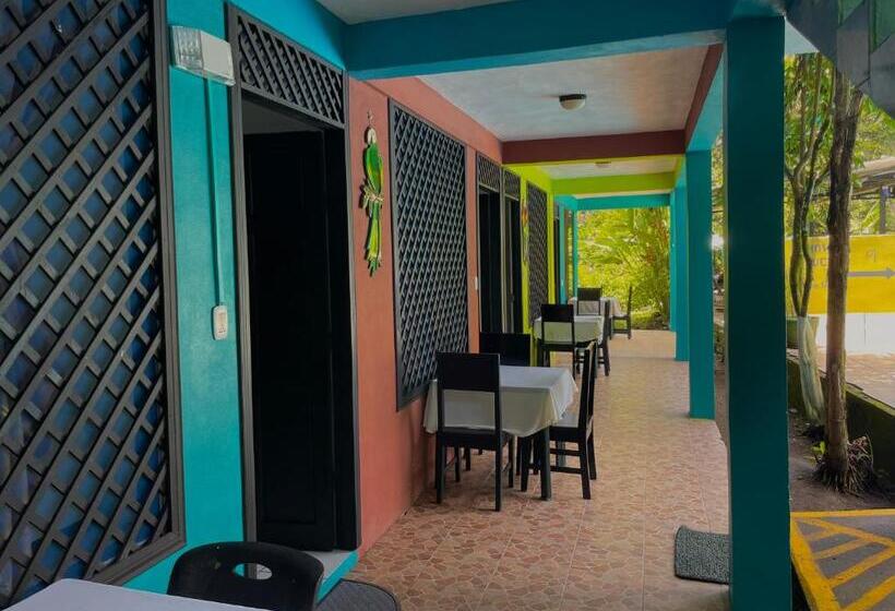 Los Amigos Jungle Hotel Tortuguero
