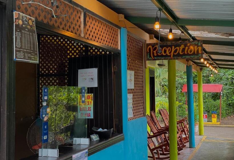 Los Amigos Jungle Hotel Tortuguero