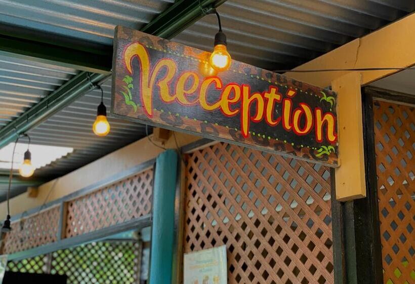 Los Amigos Jungle Hotel Tortuguero