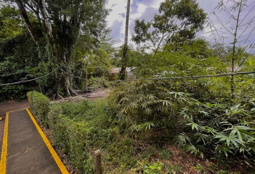 Los Amigos Jungle Hotel Tortuguero