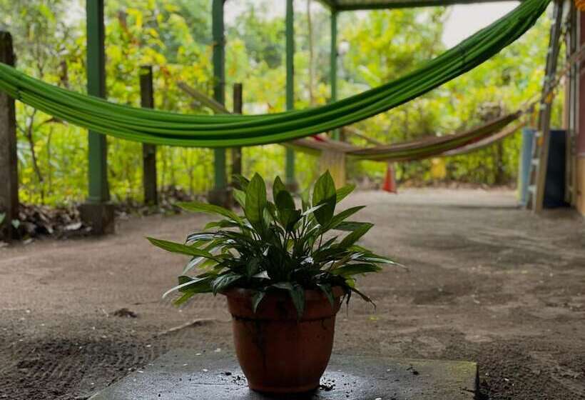 Los Amigos Jungle Hotel Tortuguero