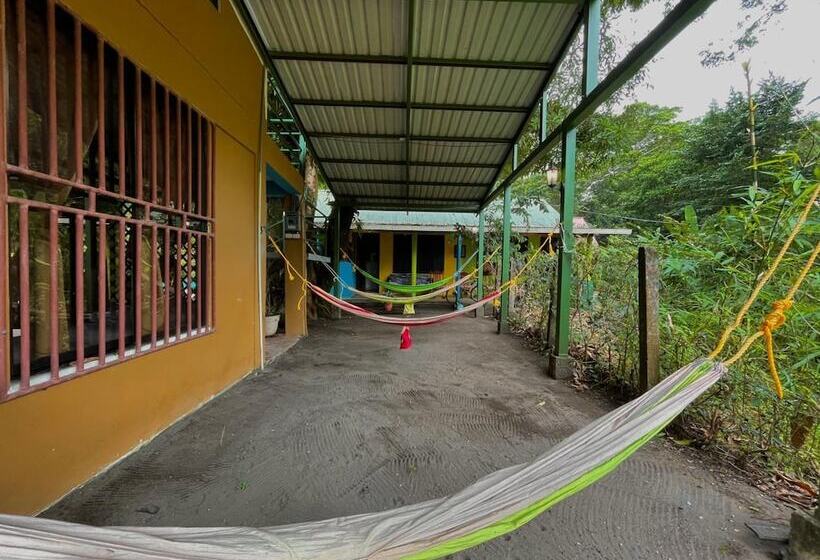 Los Amigos Jungle Hotel Tortuguero