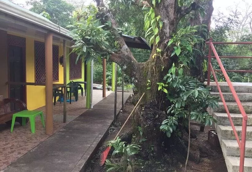 Los Amigos Jungle Hotel Tortuguero