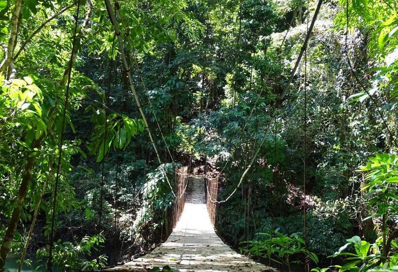 住宿加早餐 Hostel Osa Tucan Drake