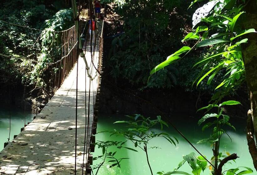 住宿加早餐 Hostel Osa Tucan Drake