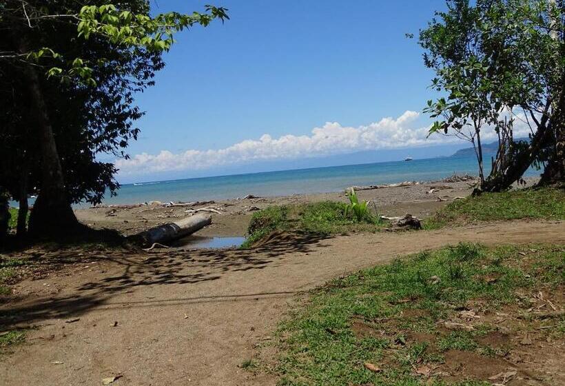 住宿加早餐 Hostel Osa Tucan Drake