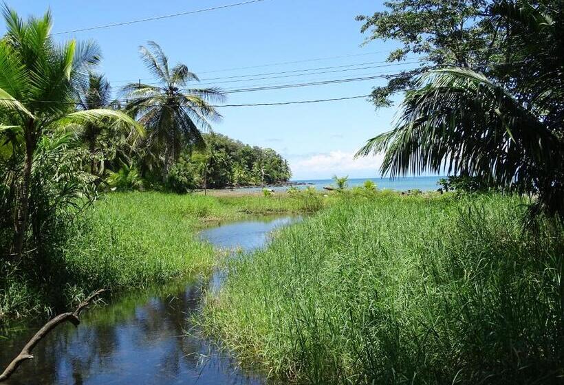 住宿加早餐 Hostel Osa Tucan Drake
