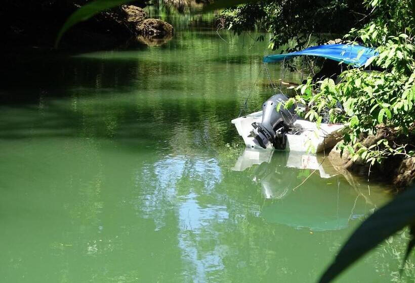 住宿加早餐 Hostel Osa Tucan Drake