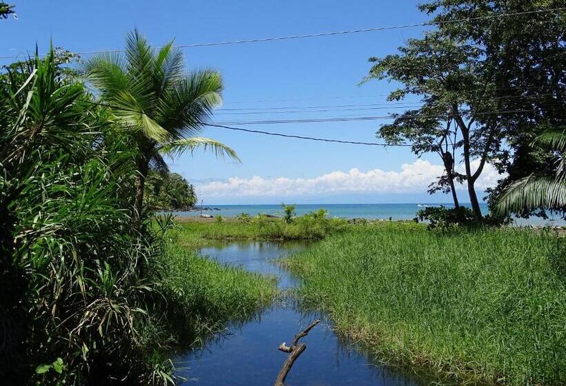 住宿加早餐 Hostel Osa Tucan Drake