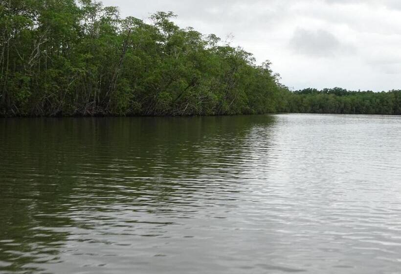 住宿加早餐 Hostel Osa Tucan Drake