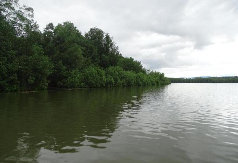 住宿加早餐 Hostel Osa Tucan Drake