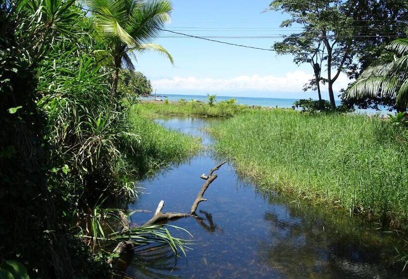 住宿加早餐 Hostel Osa Tucan Drake