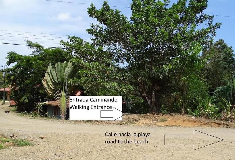 住宿加早餐 Hostel Osa Tucan Drake