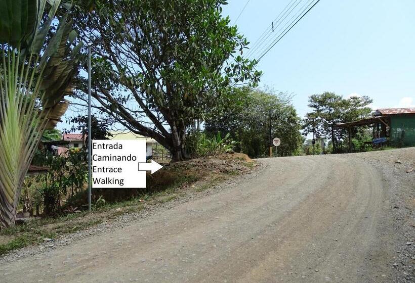 住宿加早餐 Hostel Osa Tucan Drake