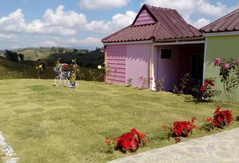 تختخواب و صبحانه Lovely Farm