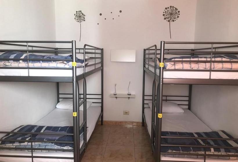 Canary Sun Hostel