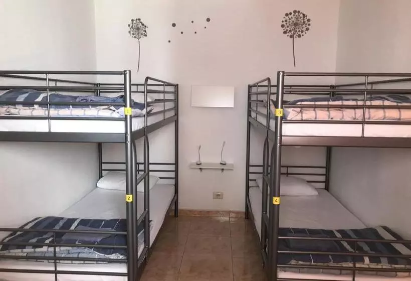 Canary Sun Hostel