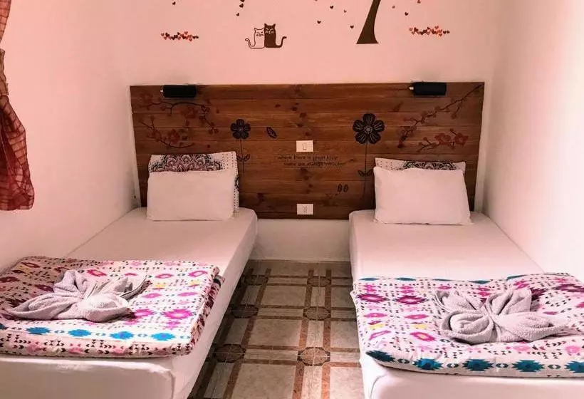 Canary Sun Hostel