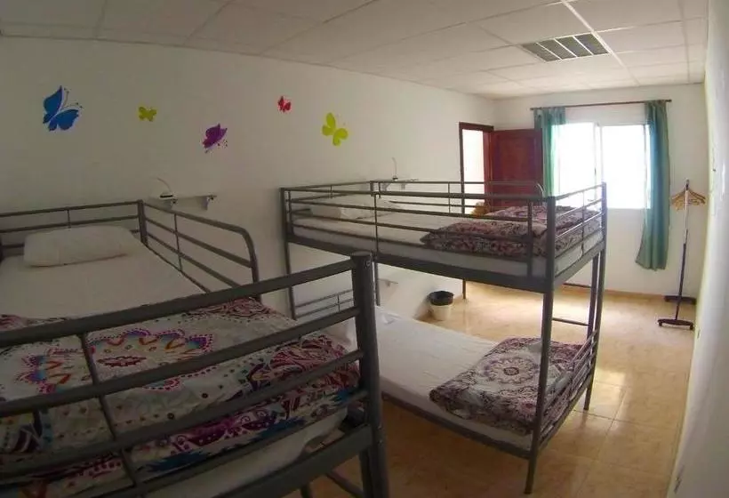 Canary Sun Hostel