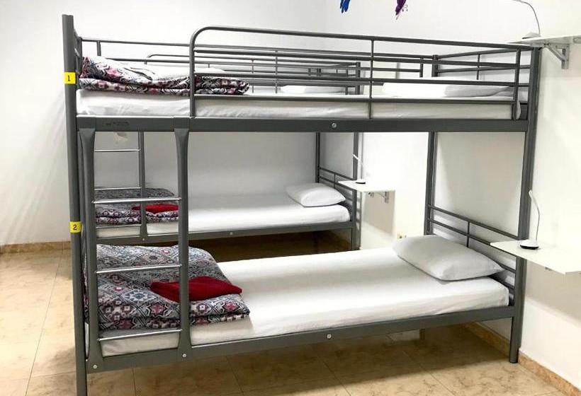 Canary Sun Hostel