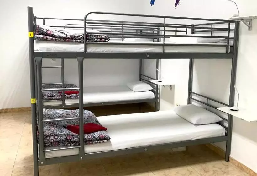 Canary Sun Hostel