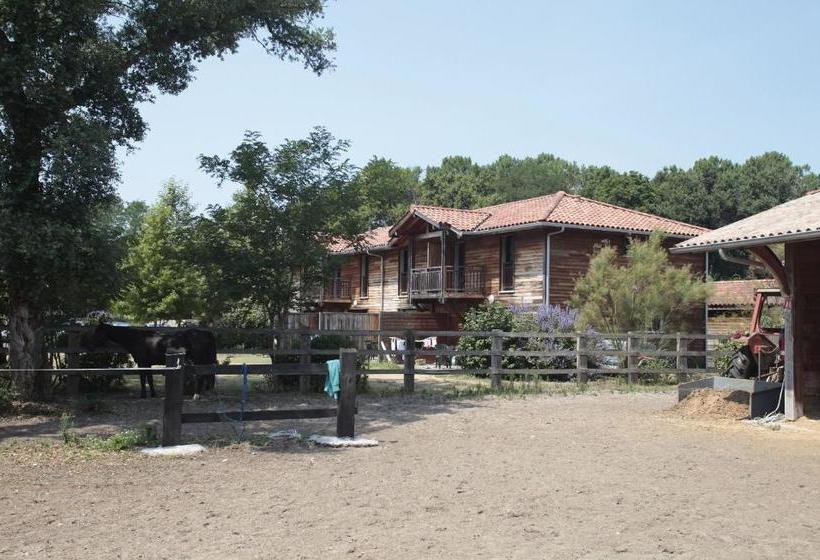 Отель Résidence Domaine De La Prade