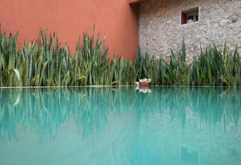 住宿加早餐 Casa De Camposampiero Boutique