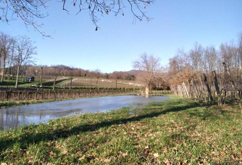 Bed and Breakfast Cascina San Martino