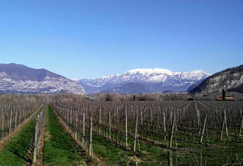 Bed and Breakfast Cascina San Martino