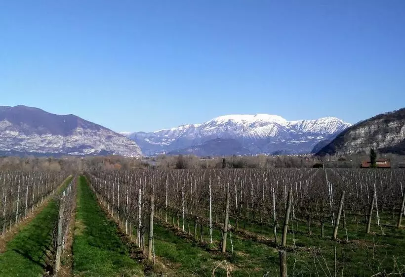 Aamiaismajoitus (B&B) Cascina San Martino