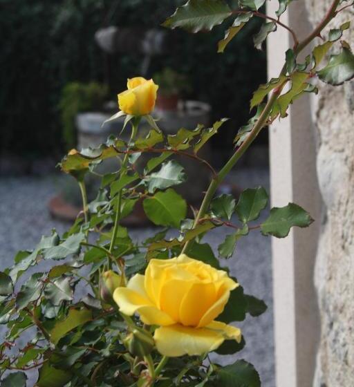 Bed and Breakfast Cascina San Martino