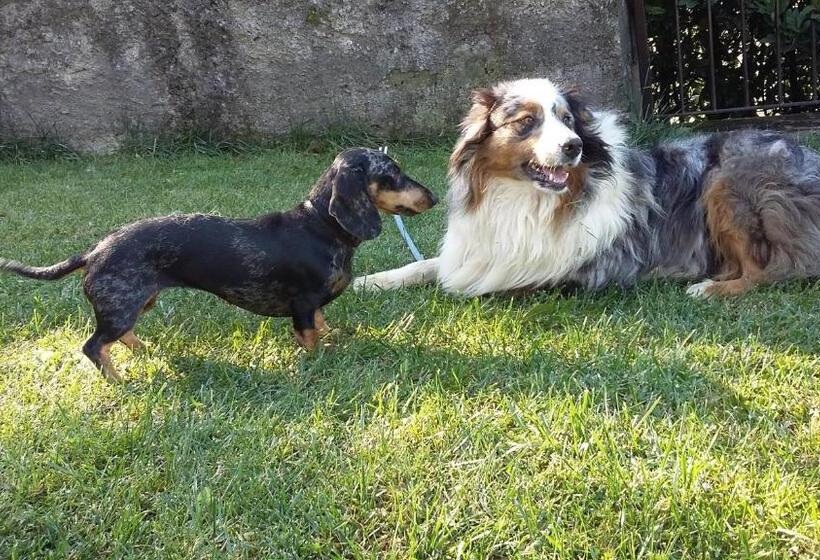 Bed and Breakfast Cascina San Martino