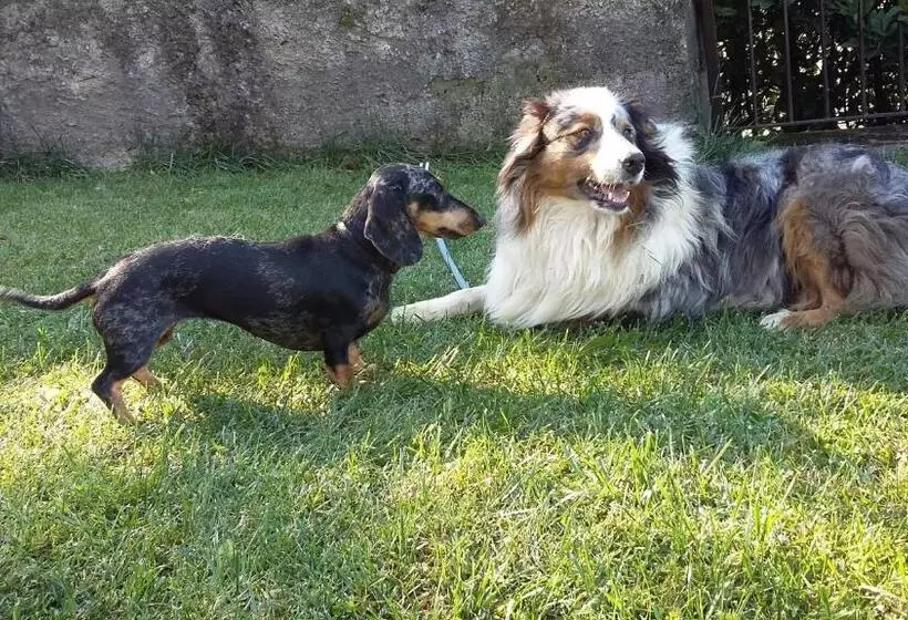 Aamiaismajoitus (B&B) Cascina San Martino