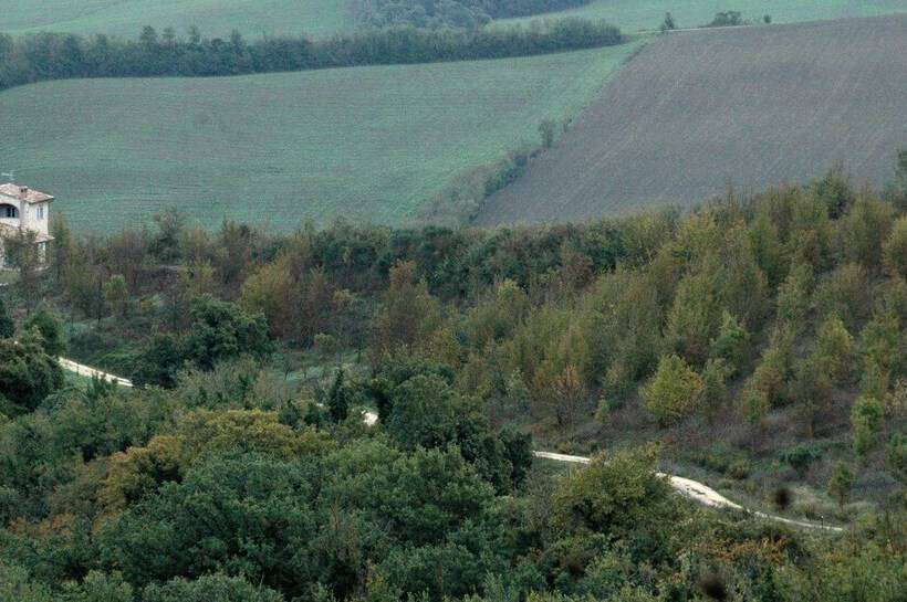 ベッドアンドブレックファースト Il Poggio Del Tartufo