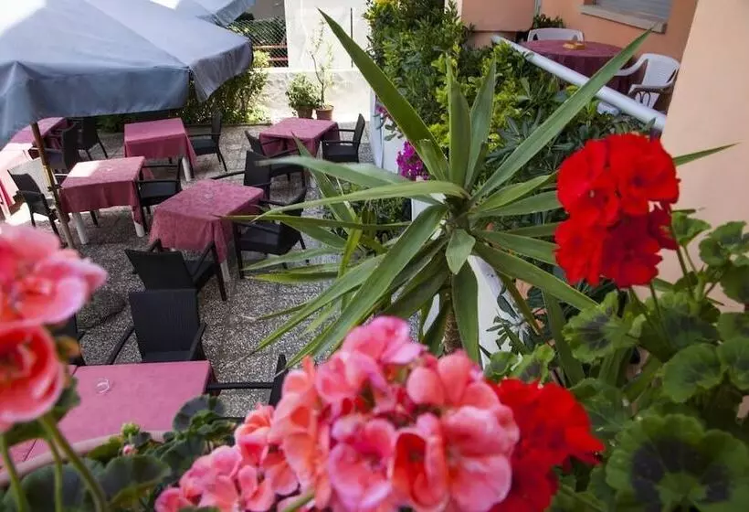 Amadei Hotel Blumen