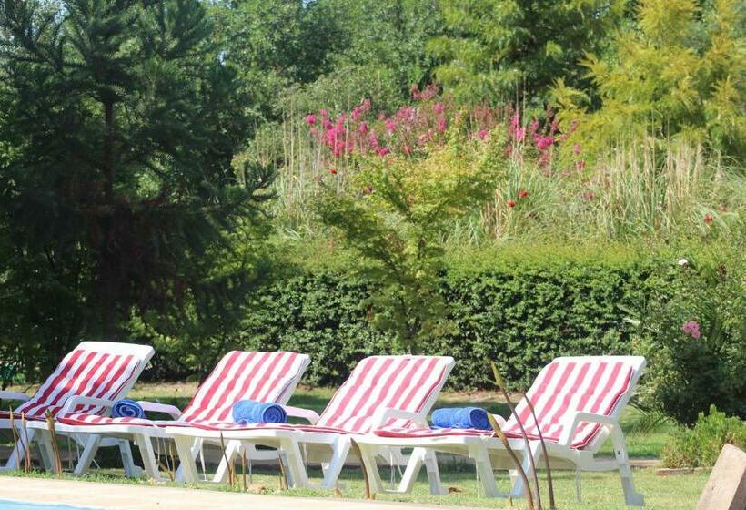 ホテル Hoja De Parra