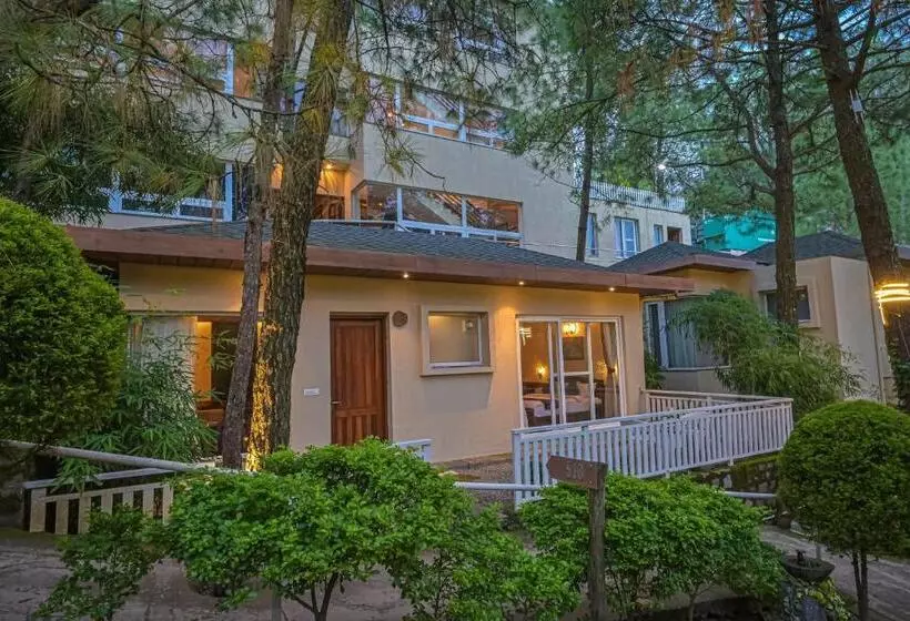 Jungle Lodge Resort