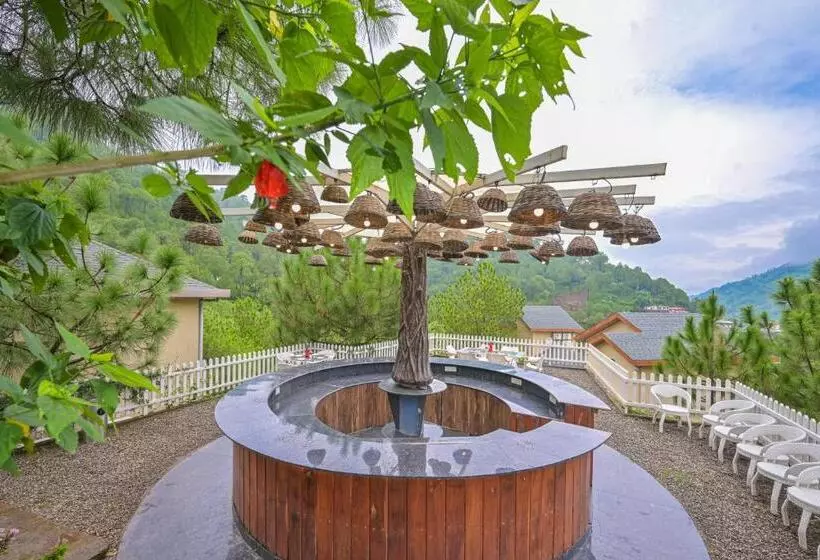 Jungle Lodge Resort