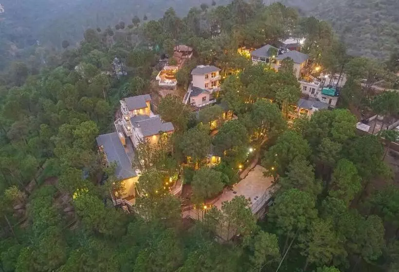 Jungle Lodge Resort