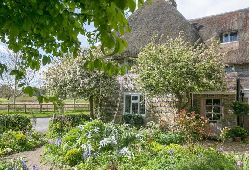 Tudor Cottage B&b Frampton