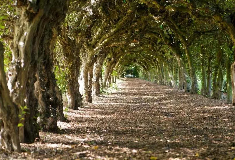 Aamiaismajoitus (B&B) Kasteel Aldenghoor