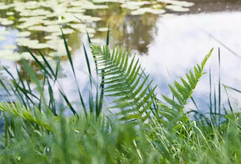 Aamiaismajoitus (B&B) Kasteel Aldenghoor
