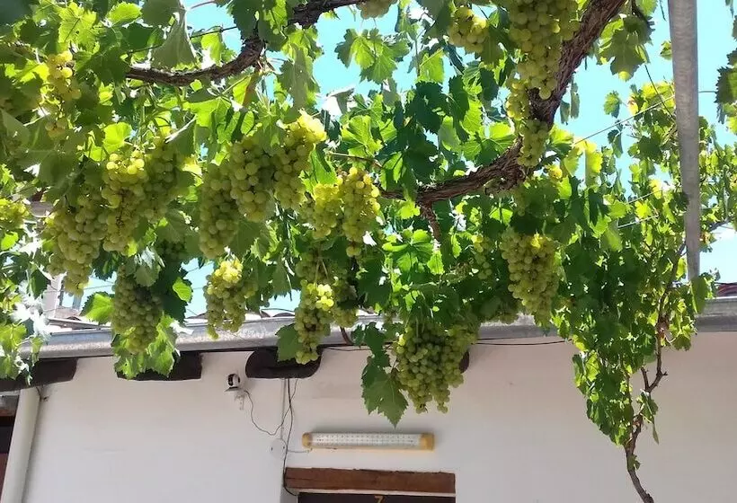 ホテル Hostal Tierra De Vinos