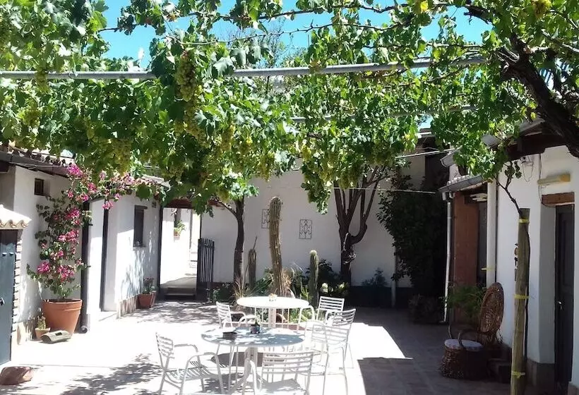 ホテル Hostal Tierra De Vinos