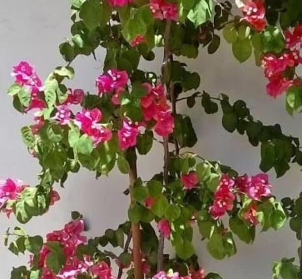 فندق Hostal Tierra De Vinos