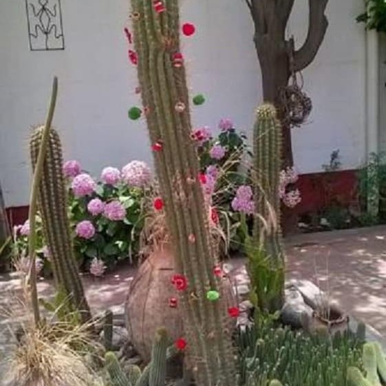 فندق Hostal Tierra De Vinos