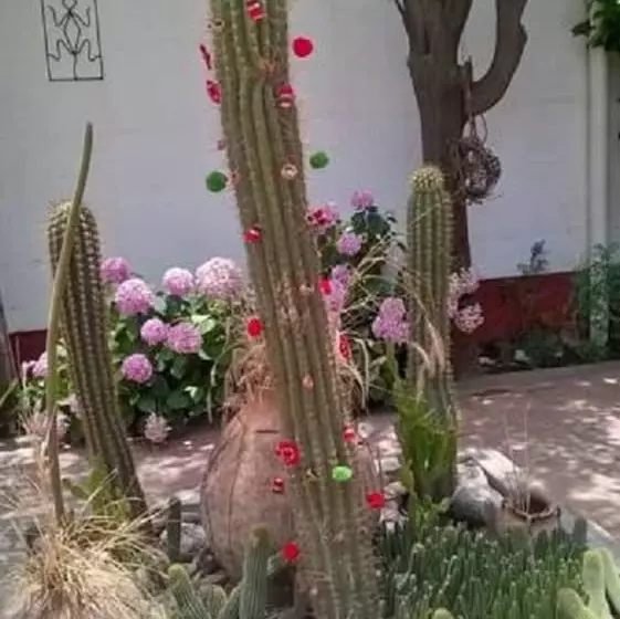 ホテル Hostal Tierra De Vinos